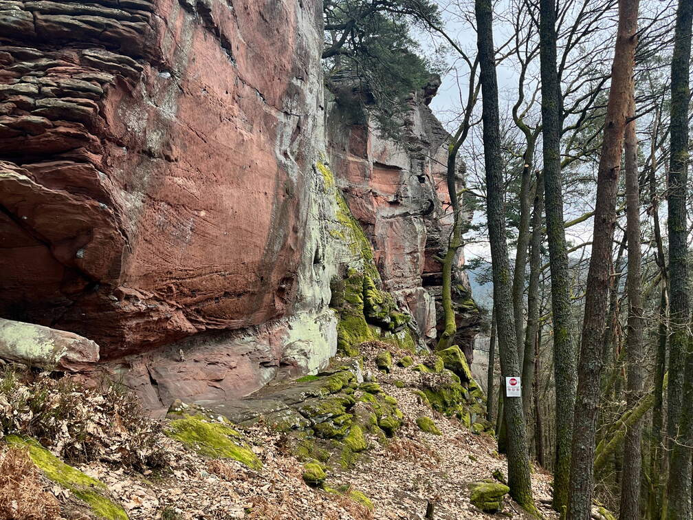 24-03-01 11-32-24 8862